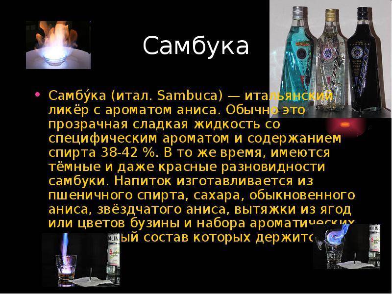Самбука: что это такое и как ее правильно пить