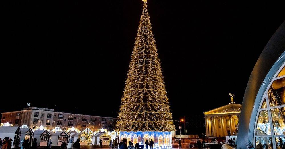 Эти ёлки бросаются в глаза: топ новогодних деревьев со всего мира - новости - vtambove.ru