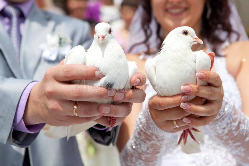 Голуби на свадьбе как символ мира и семейного благополучия