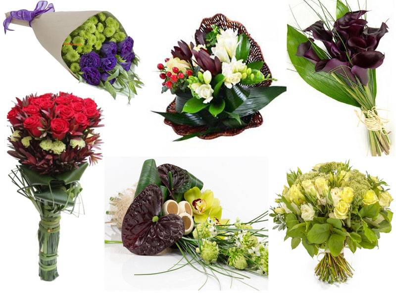 Какие цветы принято дарить мужчинам в честь дня рождения?