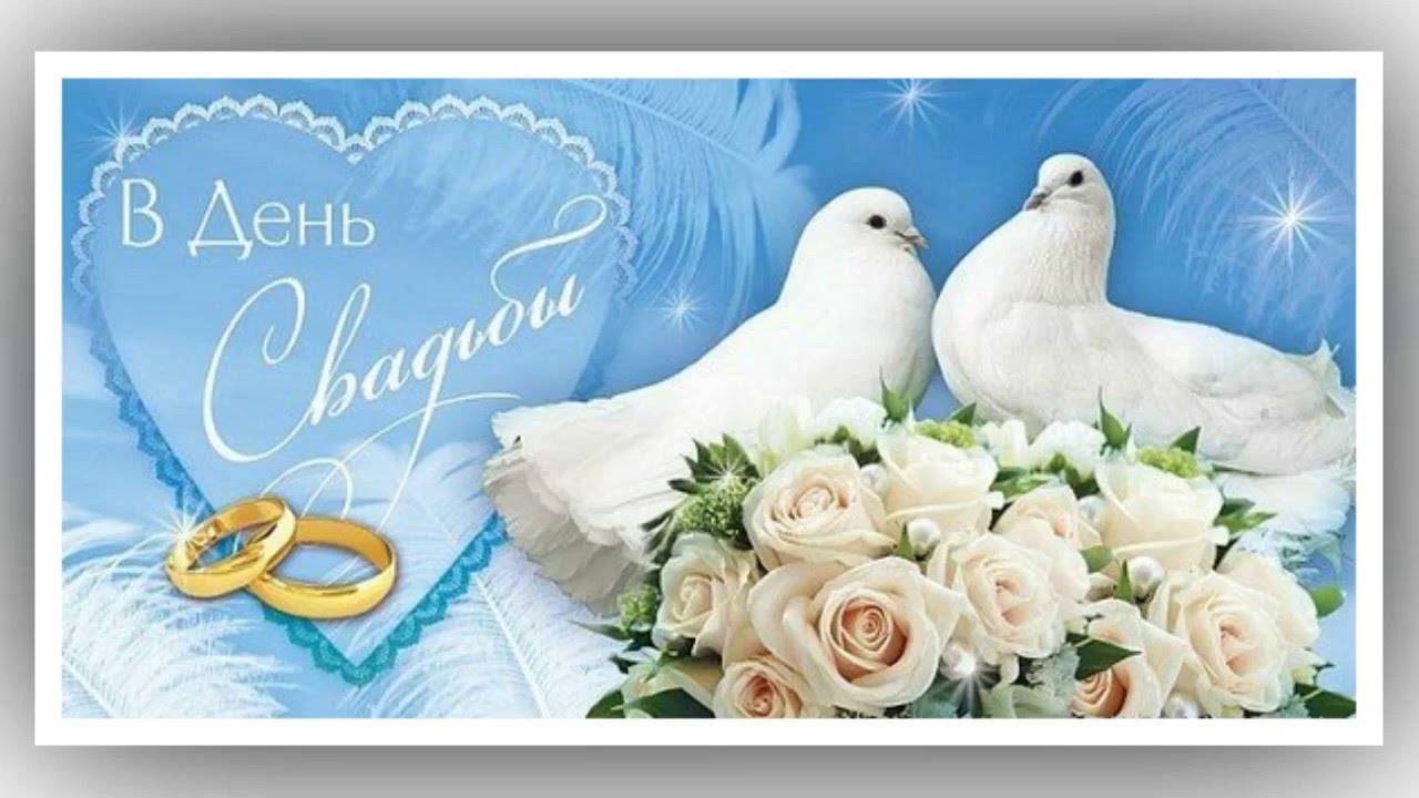 Свадебные голуби – символ вечной верности и любви