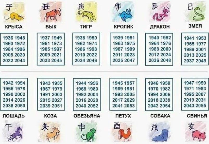 Какой 2023 год, какого животного по восточному (китайскому), славянскому и православному календарям и какого цвета