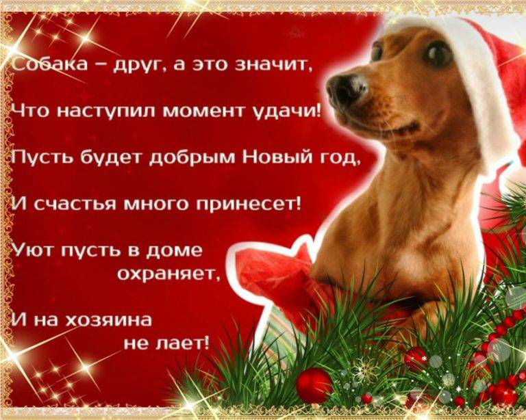 «человек собаке друг?»  (по рассказу л.н.андреева «кусака») | русский язык и литература  | современный урок