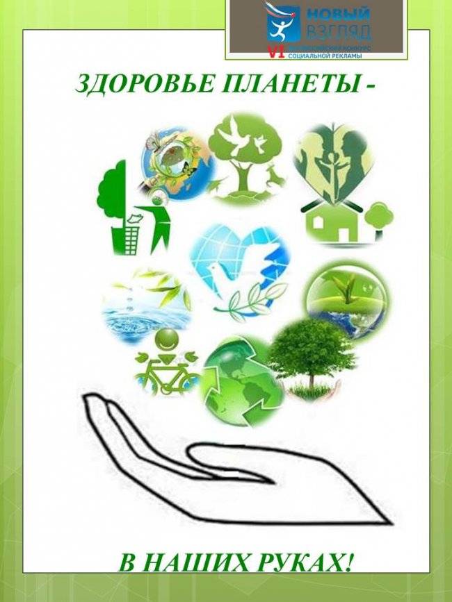 105 фраз об окружающей среде и экологии