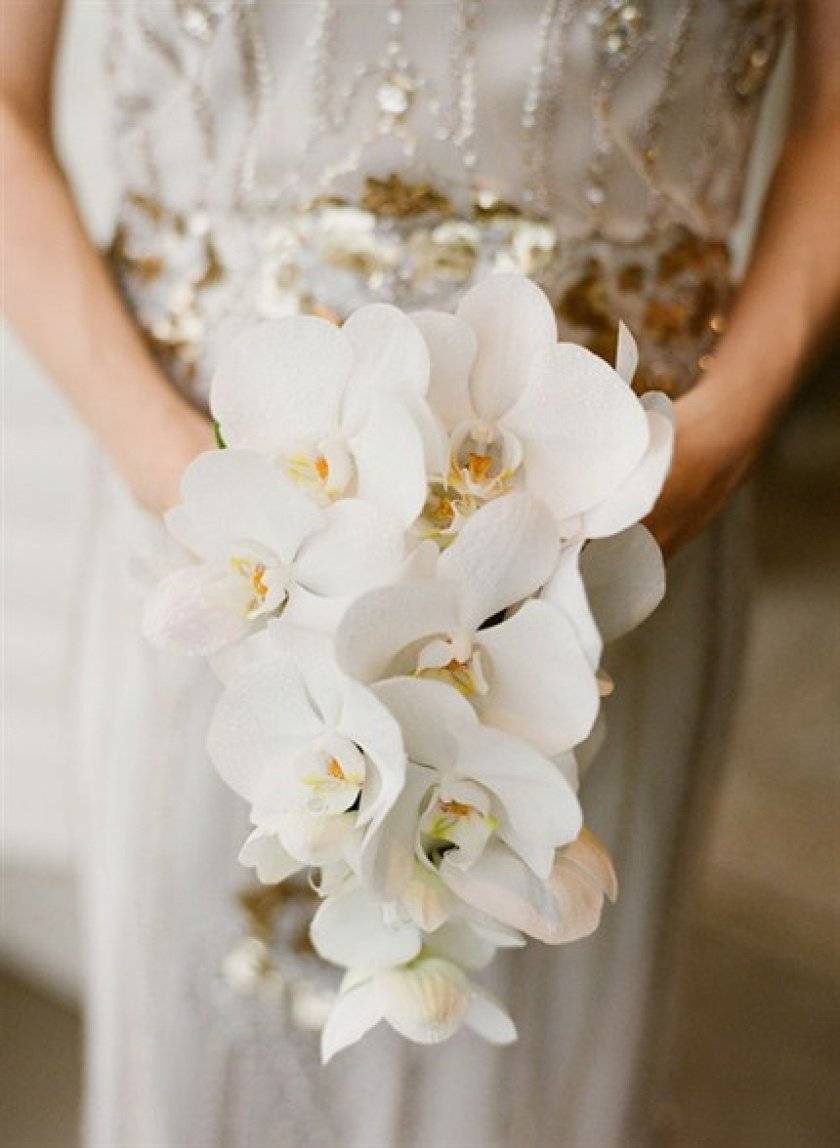 Как составить букет из орхидей в подарок и для невесты
как составить букет из орхидей в подарок и для невесты