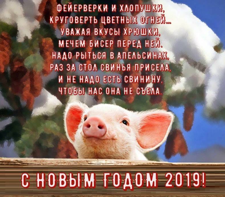 Конкурсы на новый 2019 год свиньи самые прикольные для веселой компании, смешные корпоративные конкурсы для взрослых