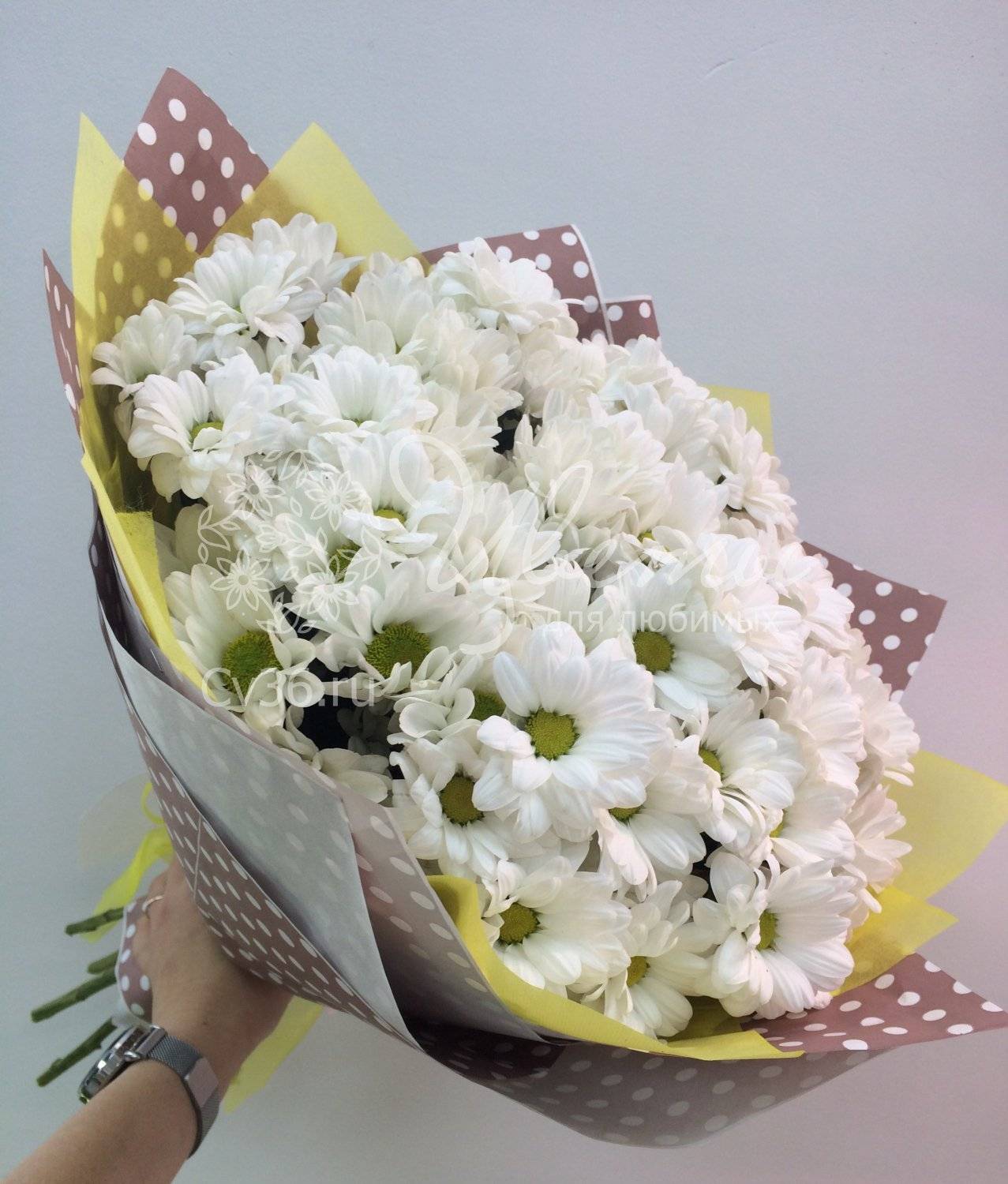 Что означает букет белых хризантем. дарят хризантемы - к замужеству?