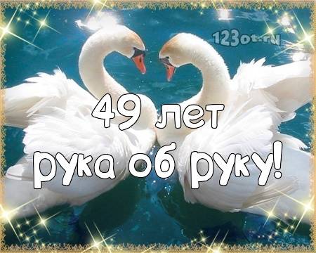 ᐉ свадьба 49 лет - что подарить на кедровою годовщину - svadebniy-mir.su