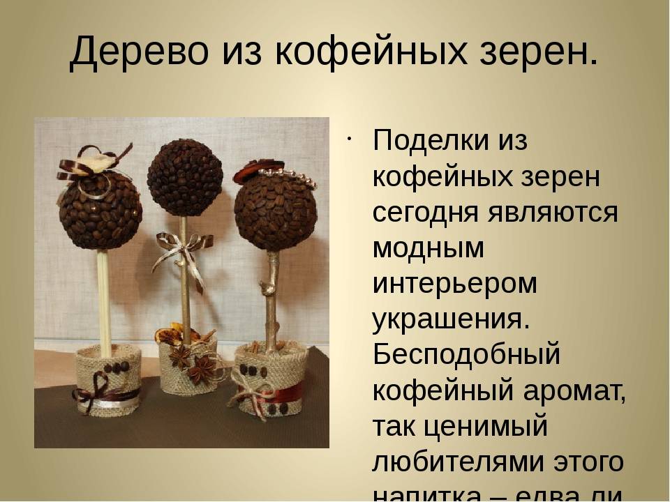 Топиарии из зёрен кофе и других материалов своими руками