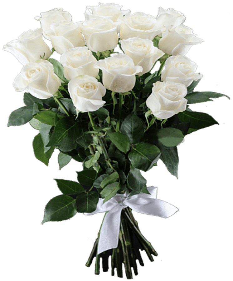 К чему девушке дарят белые розы и что символизируют белые цветы?
