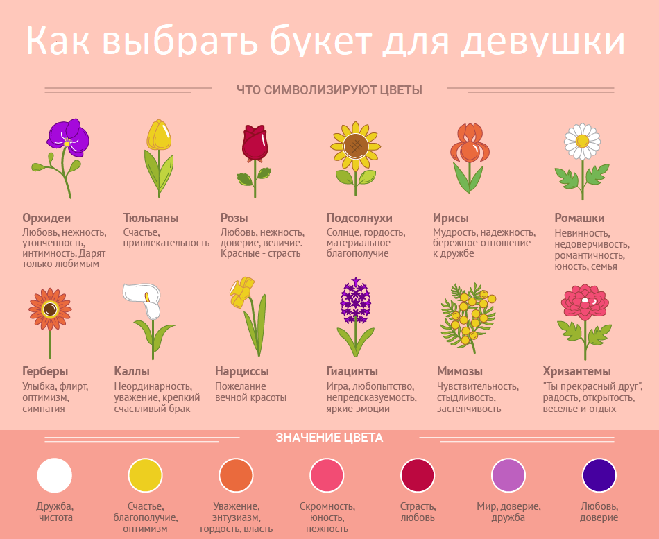 Какие цветы подарить девушке — следуем символам, звездам и психологии
какие цветы подарить девушке — следуем символам, звездам и психологии