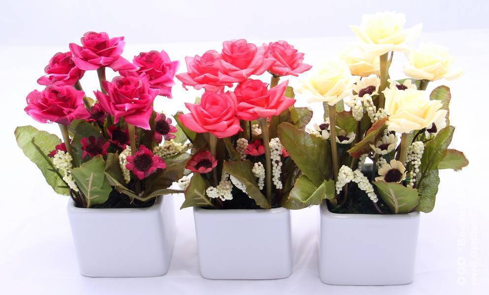 ᐉ какой комнатный цветок лучше подарить? как выбрать цветок в подарок, какие цветы не дарят - roza-zanoza.ru