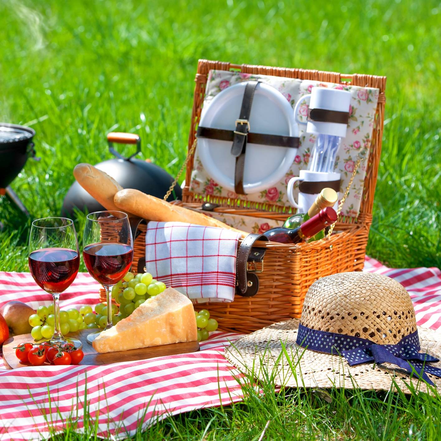 Что взять с собой на пикник из еды летом. что нужно обязательно взять с собой на пикник :: syl.ru