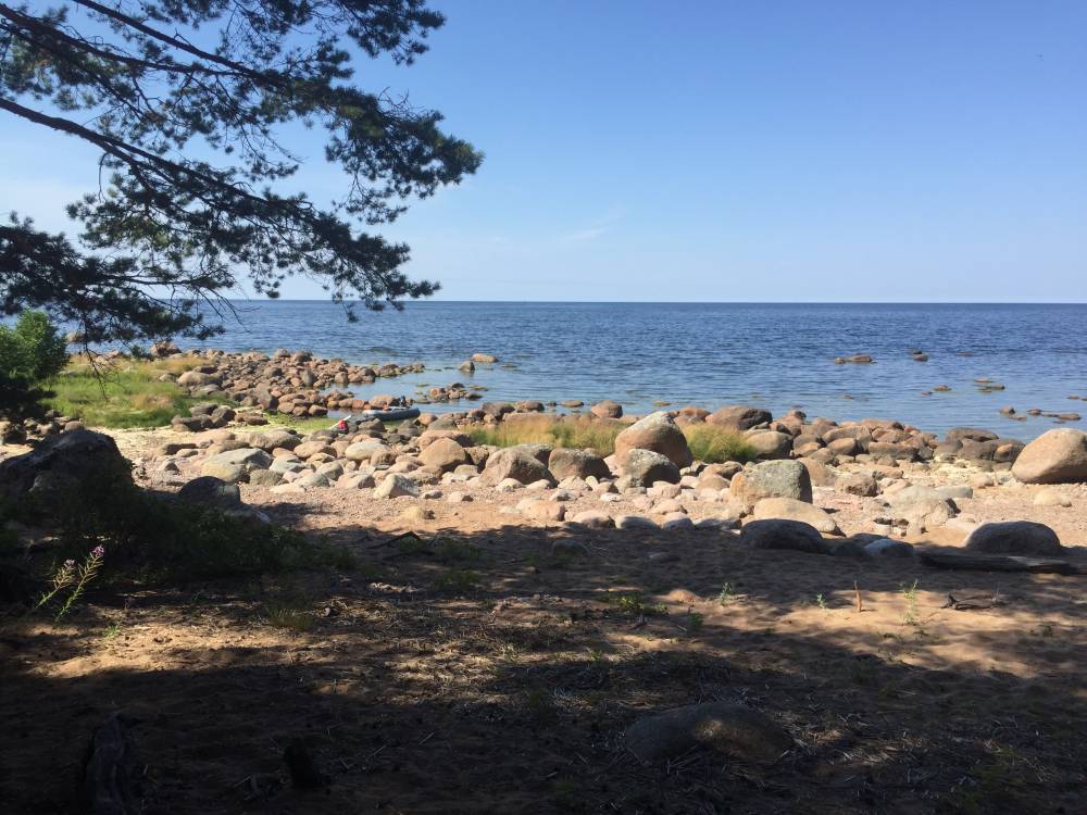 Экскурсионные туры на финский залив из спб на новый год 2023-2024