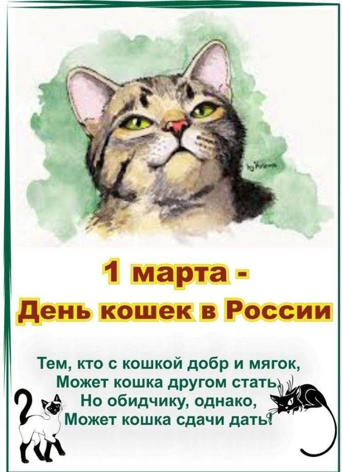 День кошек: когда и как отмечается кошачий праздник в мире, россии и других странах?