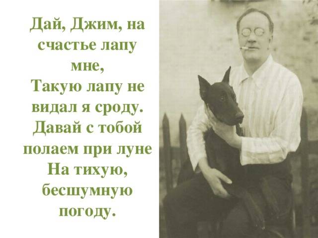 Анализ стихотворения «собаке качалова» есенина » kupuk.net