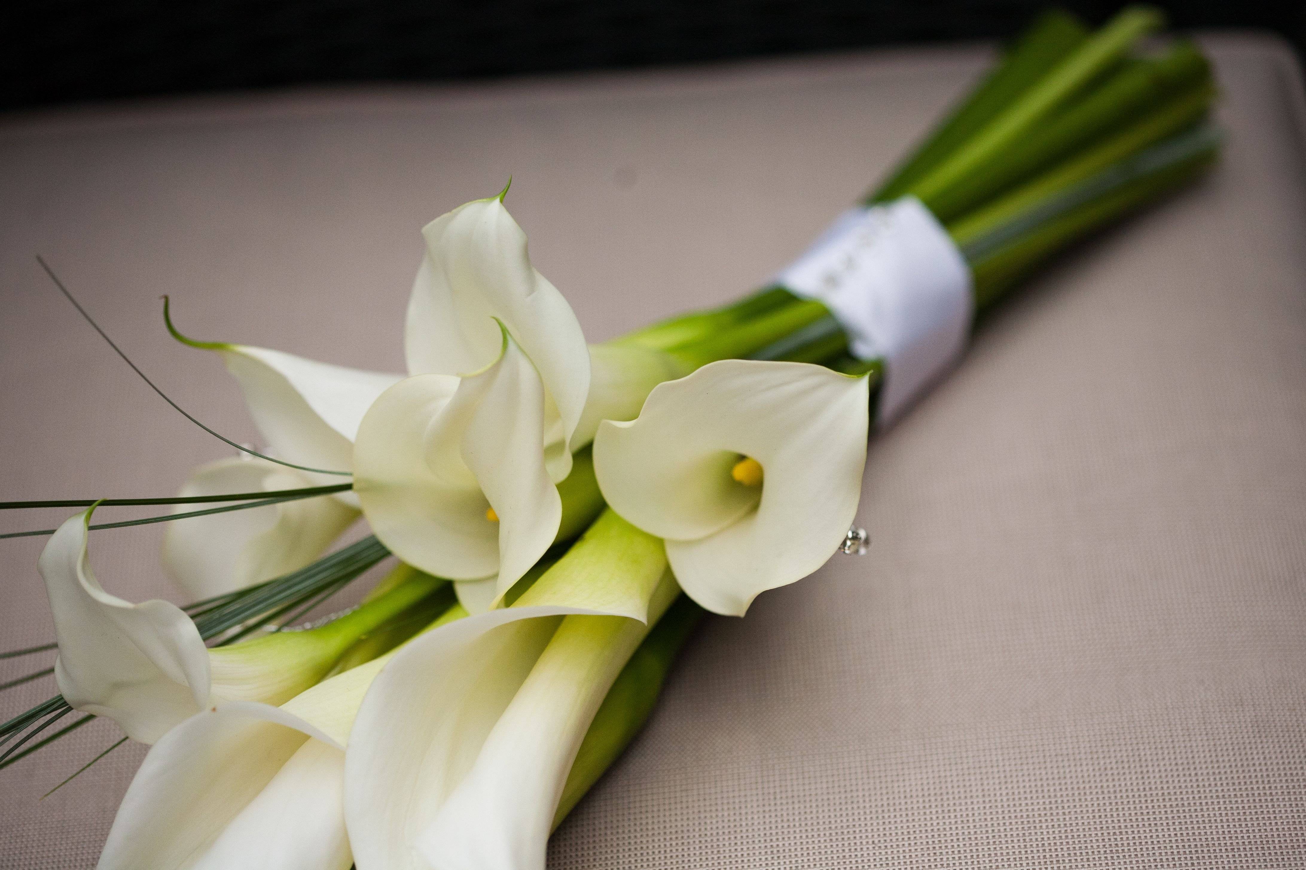 Свадебный букет невесты из калл: фото лучших букетов с каллами
