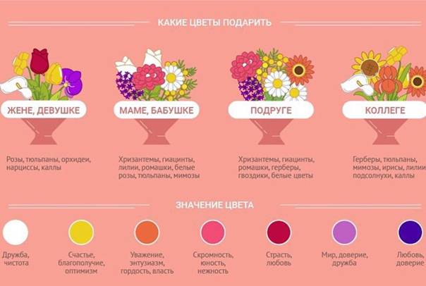 Азбука цветов или какие цветы дарить | затебя.ru