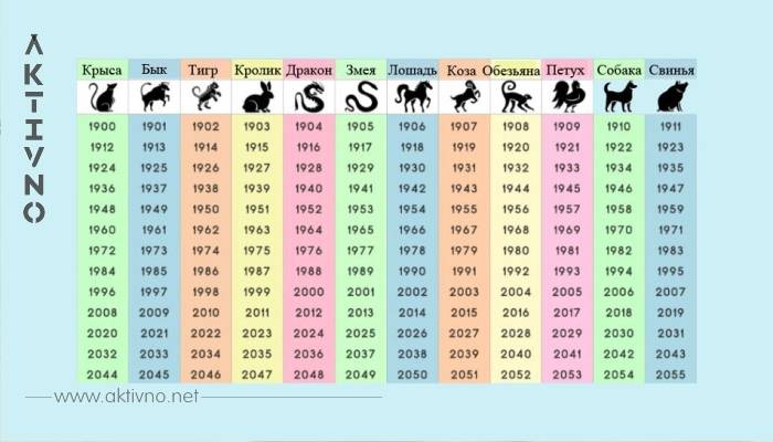 2022 год какого животного по восточному календарю (что ожидать)
