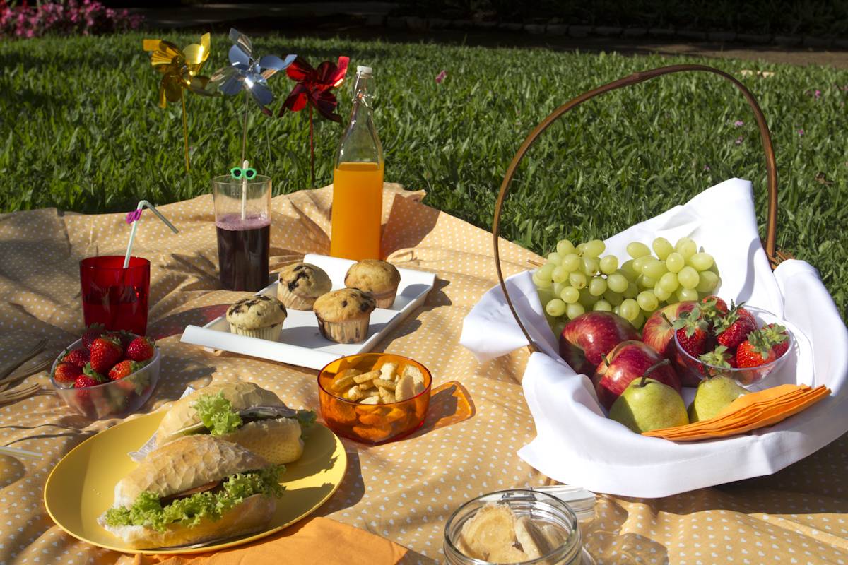 Вкусные и оригинальные летние салаты без мяса для пикника