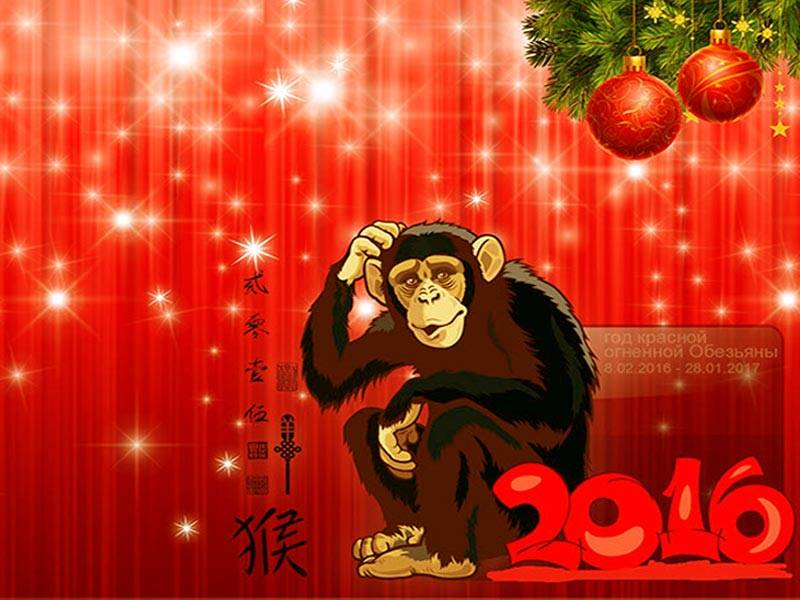 Как встречать новый год тигра 2022 - приметы, подарки, гороскоп, наряды, что приготовить - miracle-lady.ru