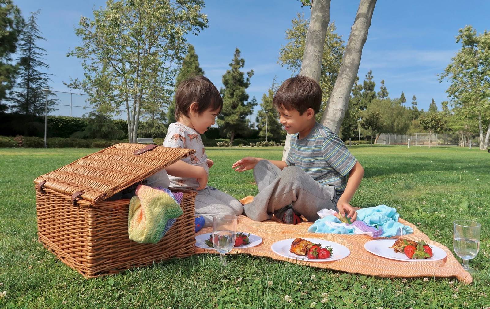 Что взять детям на пикник из еды: полезные советы и идеи с фото