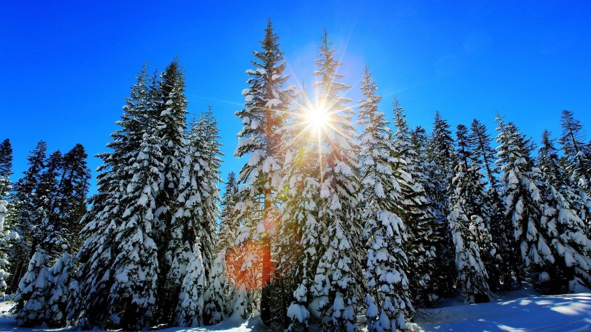 Зимнее солнцестояние: интересные факты о явлении