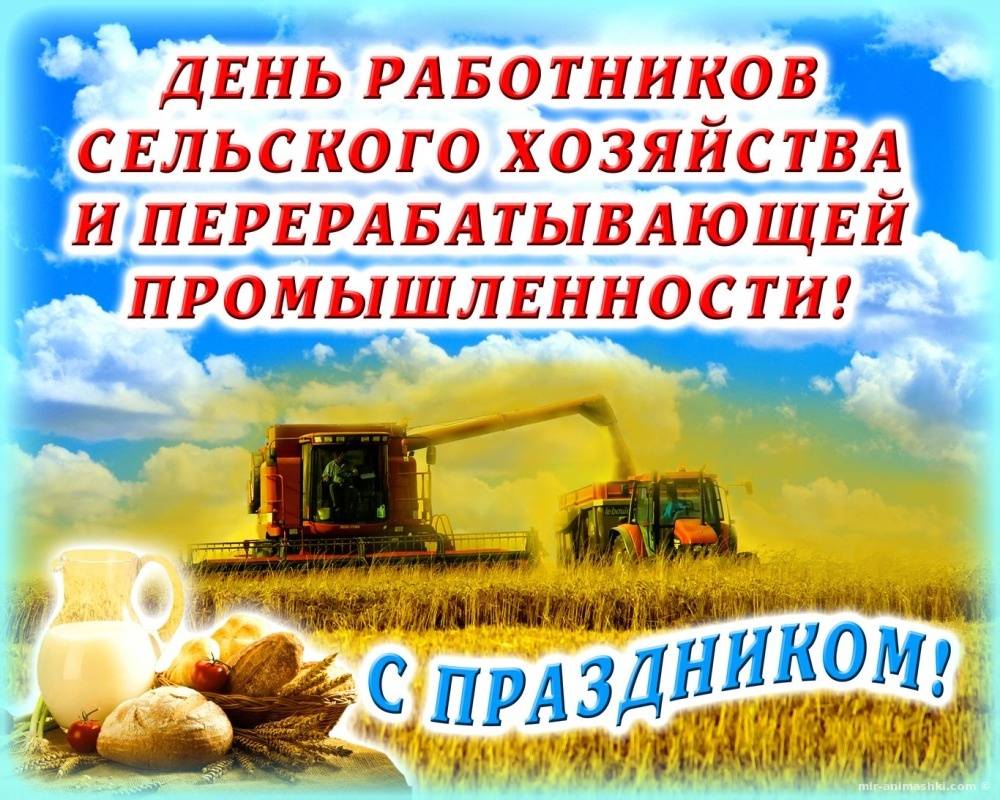 Календарь профессиональных праздников в беларуси на 2022 год | корпоративус