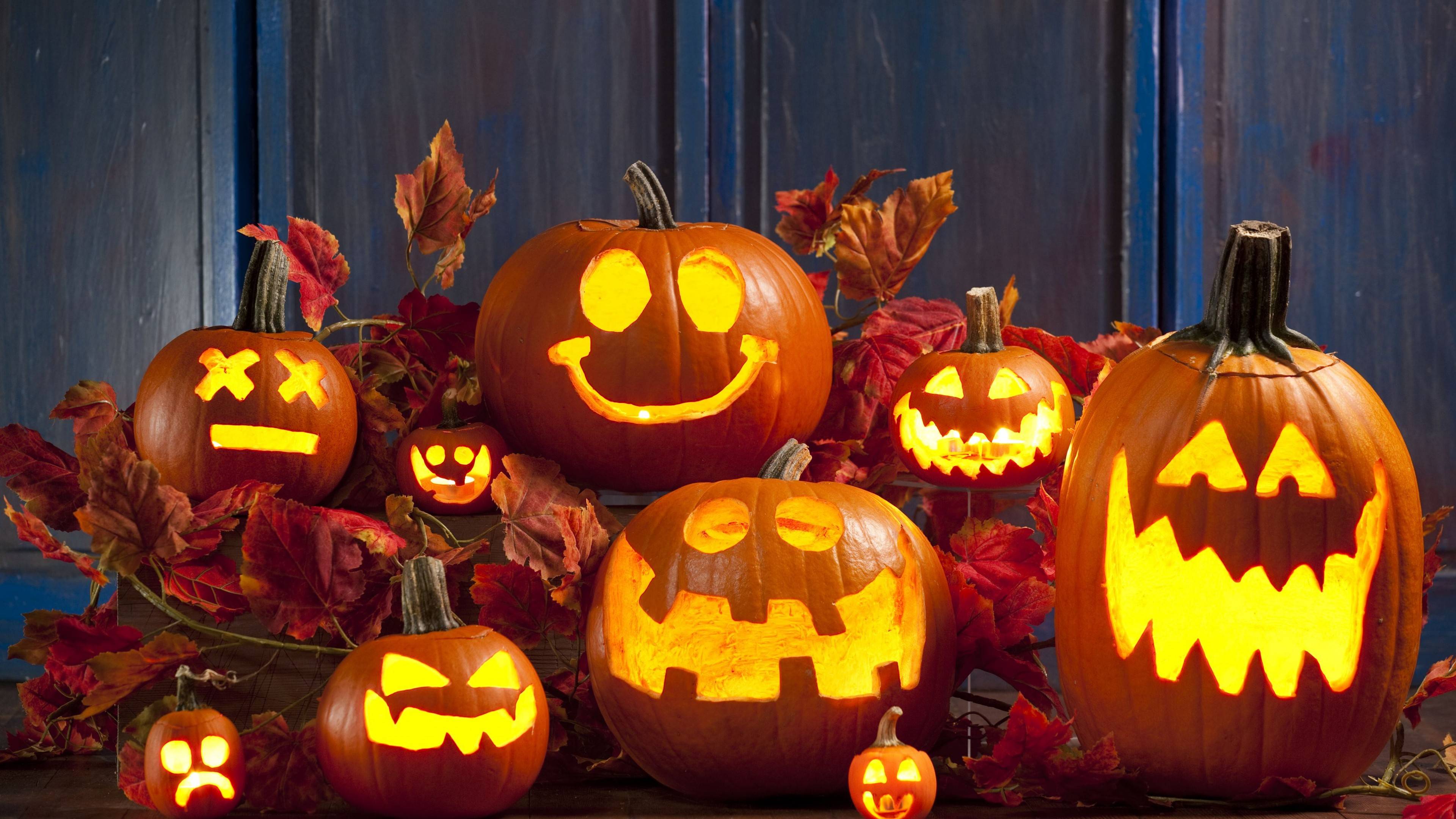История, традиции и смысл праздника хэллоуин