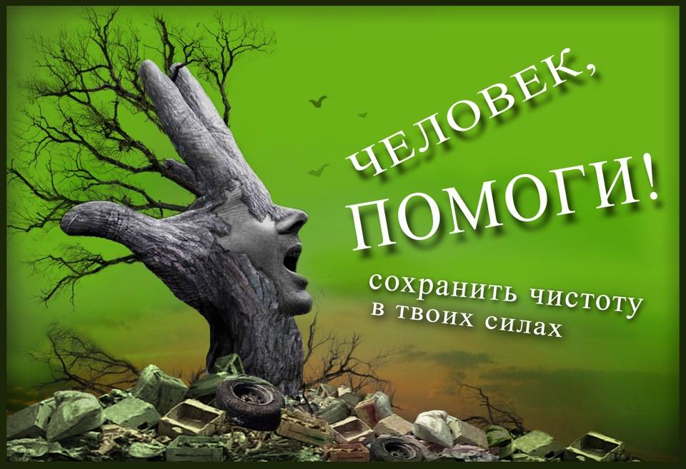 В чем заключается работа экологических организаций в россии