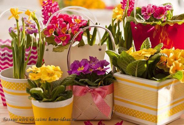 Комнатный цветок в подарок: как красиво упаковать растение? советы от татьяны кудряшовой