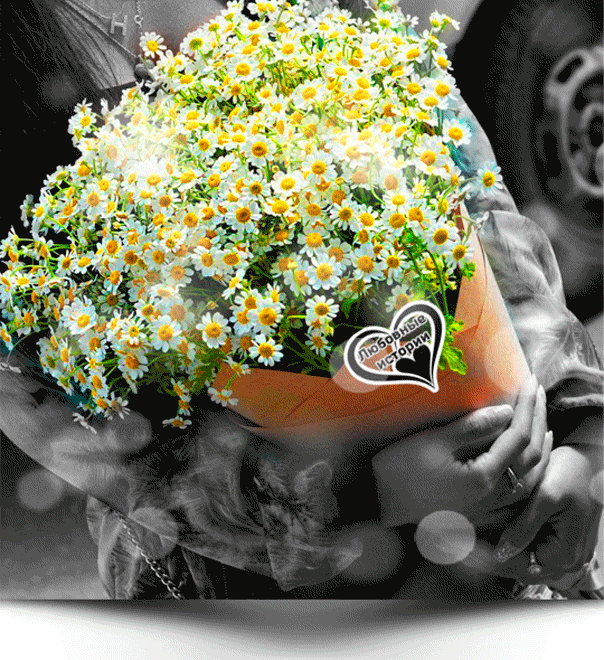 Комнатные цветы любви: приметы для женщин и какое растение приносит женское счастье, а также дерево для домашнего благополучия и удачи